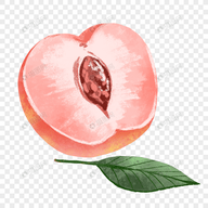 WWW,av723·COM网站APPAPP应用
